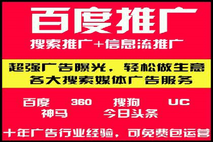 百度竞价排名机制：成功案例与策略探讨